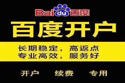 SEM推广案例：电商流量提升策略